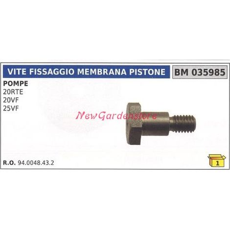 Vite fissaggio membrana pistone UNIVERSALE pompa Bertolini 20RTE 20VF 035985