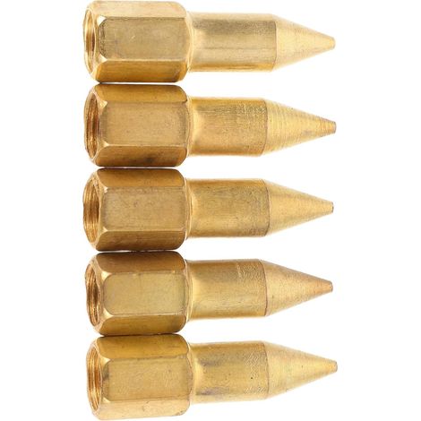 Embouts de Graisse Lubrification Lot de 5 en Cuivre Buse de Remplacement Métallique Fiable et Solide pour Pistolet à Graisse des Véhicules et Machines (1/5)