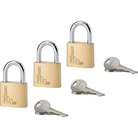 Set di 3 lucchetti TYPE 1+ 30 mm a chiave uguale, 6 chiavi – THIRARD (1/2)