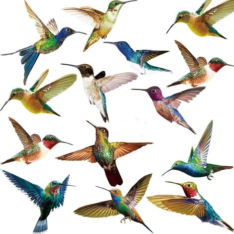 12 adesivi per finestre a forma di colibrì, anticollisione per aiutare gli uccelli a evitare i vetri (1/4)