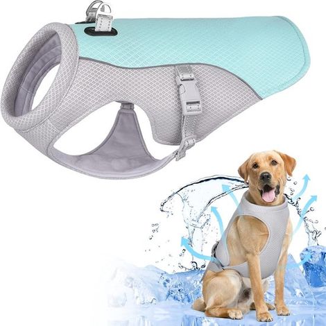 Gilet rinfrescante per cani con anello a D regolabile in titanio, gilet rinfrescante traspirante e leggero per animali domestici, per cani di piccola e grande taglia (blu, taglia M) B (1/5)