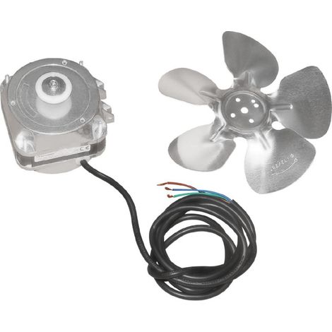 Moteur et hélice de ventilateur évaporateur - Polar