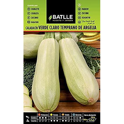 Semi Batlle  Sunny Pumpkins (1/3)