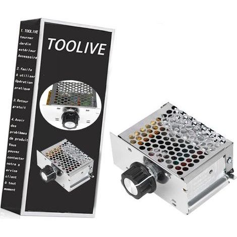 Régulateur de tension AC 220V 4000W avec plage réglable 10-220V (1/5)