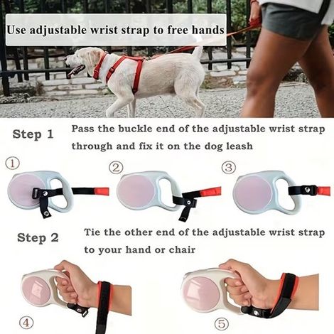 Ausbruchsicherung für Hunde – Ausziehbare Leine – Griff – Hunde – Spaziergang – Ausbruchsicherung (1/5)