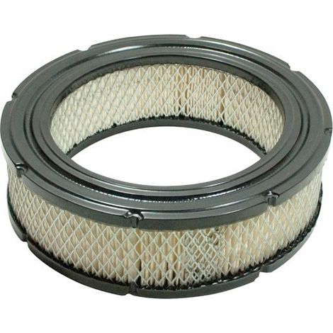 Filtre à air BRIGGS et STRATTON 692519 - 806232