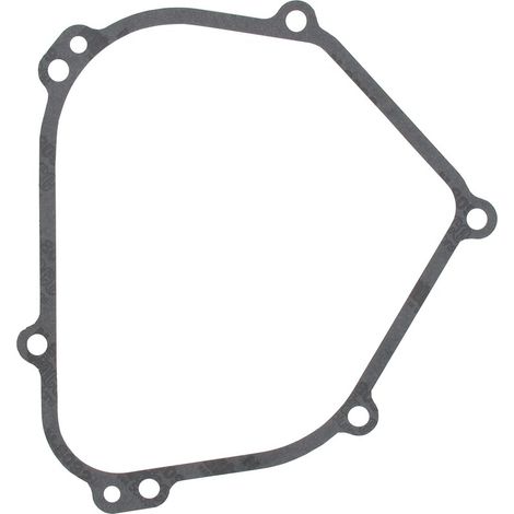Guarnizione coppa BRIGGS ET STRATTON 699485