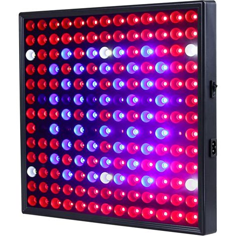 12-W-LED-Pflanzenlampe zum Schnäppchenpreis, Beleuchtungslösung für Pflanzenanbau und -wachstum, weiße COB-LED – 169 LED-Crezuo