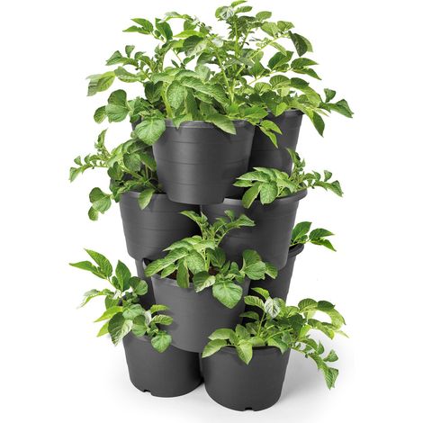 Kartoffel und Tomaten Anzucht Pflanzturm 65 x 42 cm - 4er Set - Kunststoff Säulentopf in anthrazit stapelbar