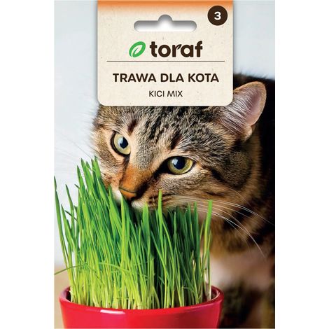 Katzengras-Mix 30 g