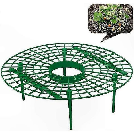Sacs de Culture en Plastique pour Fraisiers Vert Supports de Croissance Piquets Cadres Contenants Jardinage Aide aux Plants de Baies Culture (1/5)