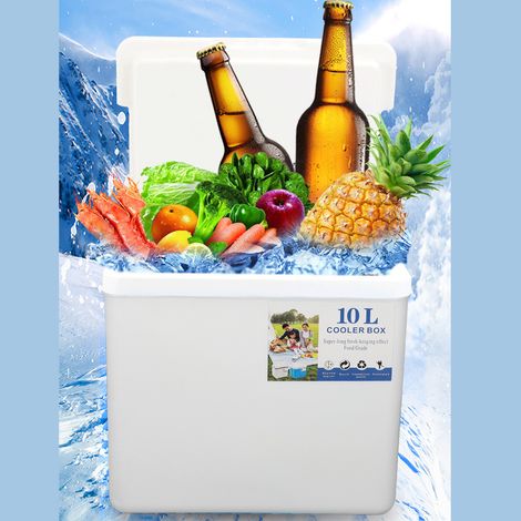 [Equipamiento para camping] Nevera portátil de 10 L EPS – Nevera isotérmica de alto rendimiento con asa para camping, picnics, pesca y uso comercial, color blanco. (1/5)