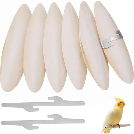 Os De Seiche - 6 Pièces - Naturel - Source De Calcium - Pour Oiseaux Et Reptiles - 7-9 Cm (1/5)