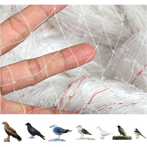 Filet de protection anti-oiseaux de jardin 10,1 x 4 m, transparent, protège les plantes et les arbres fruitiers (1/4)