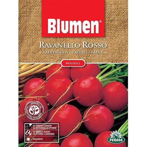 SEMI DI RAVANELLO ROSSO BIOLOGICA