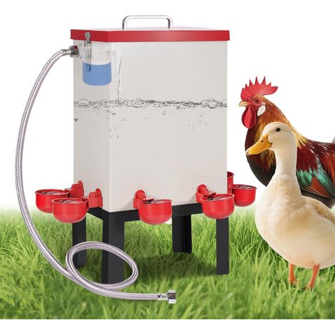 Abreuvoir Automatique pour Poulet 12L Distributeur d’Eau pour Volaille en Acier Inoxydable avec Vanne à Flotteur Tuyau Tasses d’Eau et Support Mangeoire à Eau pour Poussins Oies Dindes (1/5)