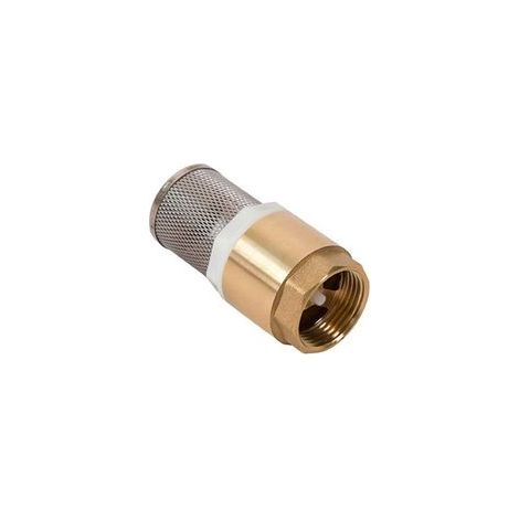 Clapet Anti-Retour 1 Pouce avec Crépine Inox, Vanne Non Retour pour Pompe, Acier Inoxydable, Étanche et Durable (1/4)