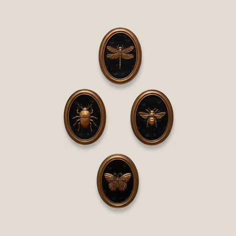 Ensemble 4 cadres insectes Entomologie 13x17cm (1/5)