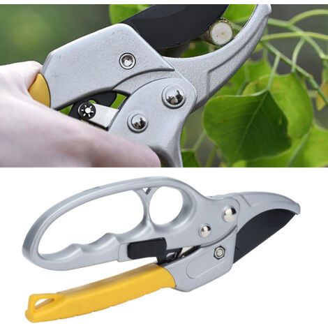 BUNTHAUS Ciseaux de Jardinage Faciles à Utiliser pour Taille de Fruit et Arbustes Lames en Acier SK-5 pour Pruning-