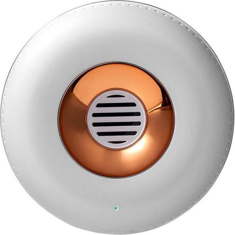 Désodorisant pour réfrigérateur, stérilisation à l'ozone, désodorisant pour armoires et chaussures (blanc) (1/4)