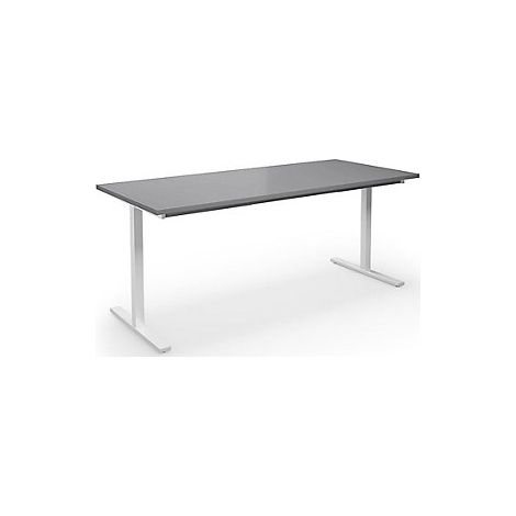 Mesa multiusos DUO-T  tablero recto  H x P 740 x 800 mm 