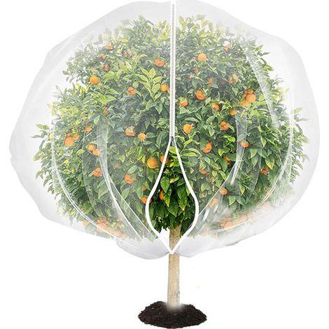 Filet de protection pour grands arbres fruitiers (2,4 x 2,4 mètres) avec fermeture éclair et corde de traction - filet de jardin réutilisable adapté aux vergers, patios, fermes et jardins. (1/5)