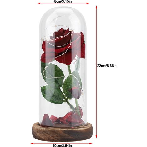 Rose éternelle illuminée par LED avec couvercle en verre et socle en bois - Cadeau idéal pour la Saint-Valentin ou un mariage - Rouge (1/5)