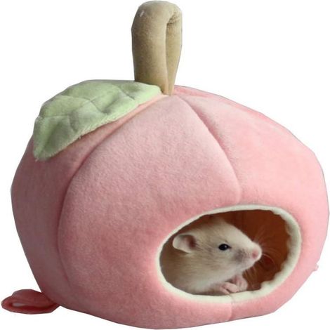 Maison Pour Animal De Compagnie - Maison En Forme De Fruit Pour Hamster Cobaye Hérisson Chinchilla - Diamètre Trou 6 cm Hauteur 13 cm Diamètre Base 12 cm - Vert Rose - 1 Pièce (1/5)