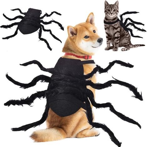 Costume D'halloween pour Chien & Chat, 7 cm, Costume D'araignée pour Animaux, Araignée Noire à Pattes Multiples, pour Halloween, Cosplay (1/3)