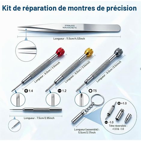 Kit Petit Tournevis de Précision Pour Horlogerie, 6 Pièces Acier inoxydable (1/5)