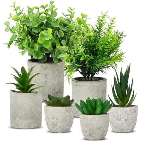 6 PièCes Fausse Plante Interieur, DéCoration De Salon, Mini Plantes Artificielles Langue De Serpent, Agave Succulente, AloèS Griffe D'Aigle, Plantes Artificielles Pour DéCoration De Bureau De Chambre (1/5)