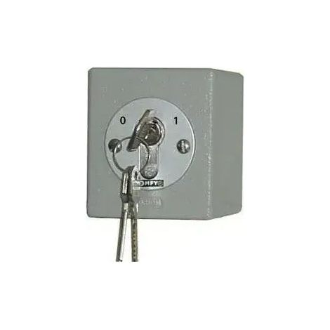 Somfy – 1841021 – Déverrouillage par clé externe pour moteur Axovia – Tension 24V – Longueur de vantail maximale 2.5m