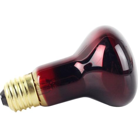 Ampoule infrarouge R63 40W, spot chauffant pour ponton, lampe de chaleur extérieure, éclairage terrasse, remplacement efficace, longue durée, 1 pièce. (1/4)