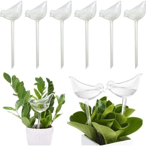 6 Pièces Boules d'arrosage, bulbes en verre auto-arrosants, arrosage automatique pour plantes en pot d'intérieur et d'extérieur, Oiseau en verre transparent (1/4)