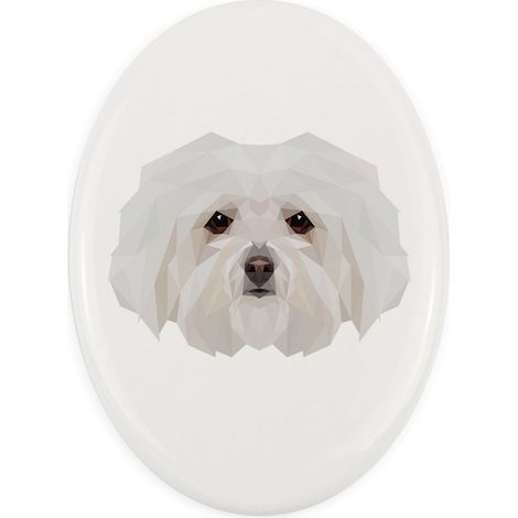Boloñesa: un azulejo geométrico con una foto y una inscripción de Art-Dog (1/4)