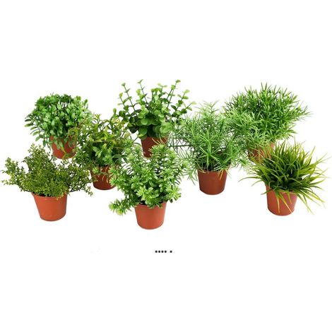 Herbes fausses variées mini plantes assorties 8 pots Feuilles H9-12cm