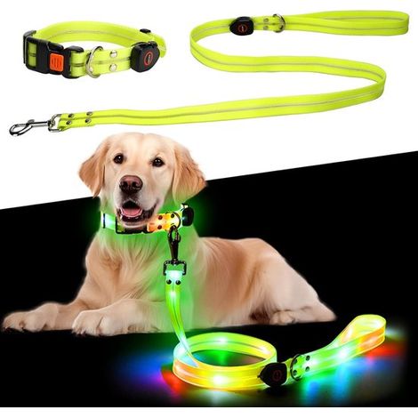 Collar luminoso LED para perros pequeños y medianos - Recargable por USB (1/5)