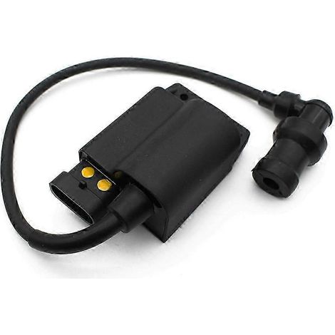 Compatible avec les Vespa ET4 / LX / Lxv 50 Zip 50 4T et Piaggio Liberty Rst (bobine CDI) (1/4)