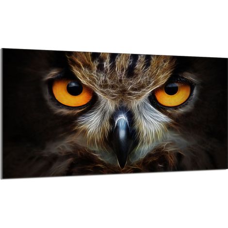 Glasschutzplatte für den Herd 90x52 Eule (1/5)