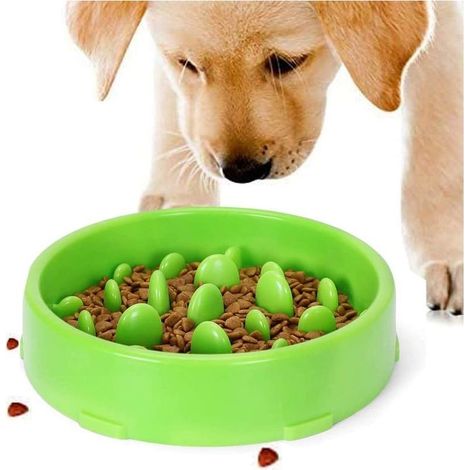 Gamelle d'alimentation Lente pour Chiens, Slow Feeding Conception Anti-dérapante Fun Interactive Nourrir Les Chats et Les Chiens pour Bol, Favorise Une Alimentation Saine (Vert) (1/5)