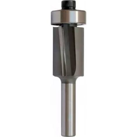 Mèche Affleureuse Biaisée HM D. 19 x Lt. 61 x Lu. 16 x Q. 6 mm x Z2 + Guide à Billes - Performance Pour Bois - Diamwood (1/3)