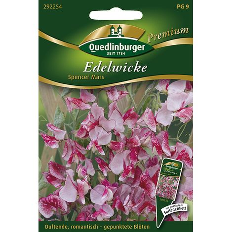 Quedlinburger Edelwicke Spencer Mars - Blumensamen