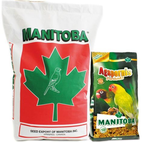 Agapornis Parakeets Manitoba (Senza Girasole) - 20 kg