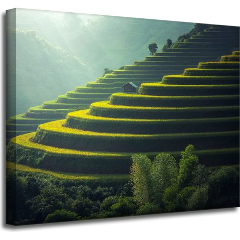 Leinwanddruck Natur Landschaft Landwirtschaft 50x40