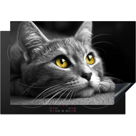 PROTECTOR DE PLACAS DE INDUCCIÓN Gato - Gris - Animales - Gato Cocina 76x51.5 cm (1/5)