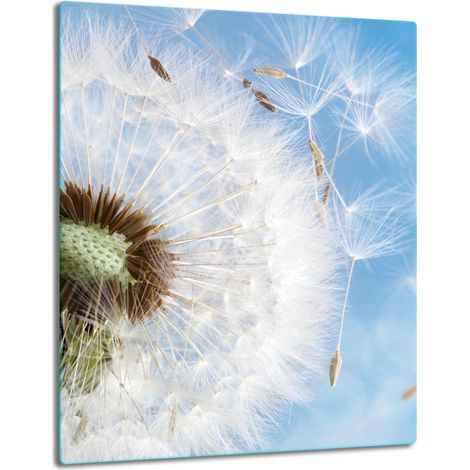 PIASTRA DI PROTEZIONE IN VETRO PER INDUZIONE 40x52 FIORE (1/5)