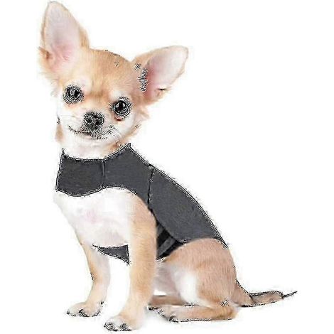 Beruhigender Anti-Stress-Mantel für kleine Welpen unter 4 kg – von Experten empfohlene Angstreduzierende Weste für Miniaturhunde (1/4)