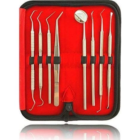 Kit détartrage dentaire 8 pièces, instruments inox + mallette transport, nettoyage professionnel