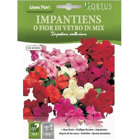 Impatiens mix coloré pour jardin et balcon