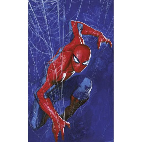 papier peint panoramique Spider-Man bleu et rouge - Komar (1/5)